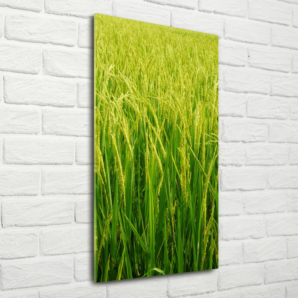 Acrylique tableau Plantation de riz