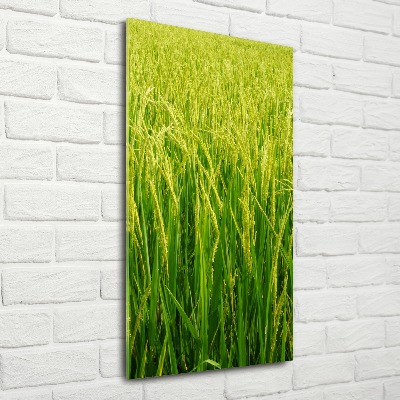 Acrylique tableau Plantation de riz