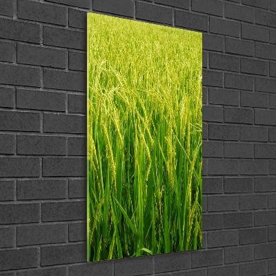 Acrylique tableau Plantation de riz