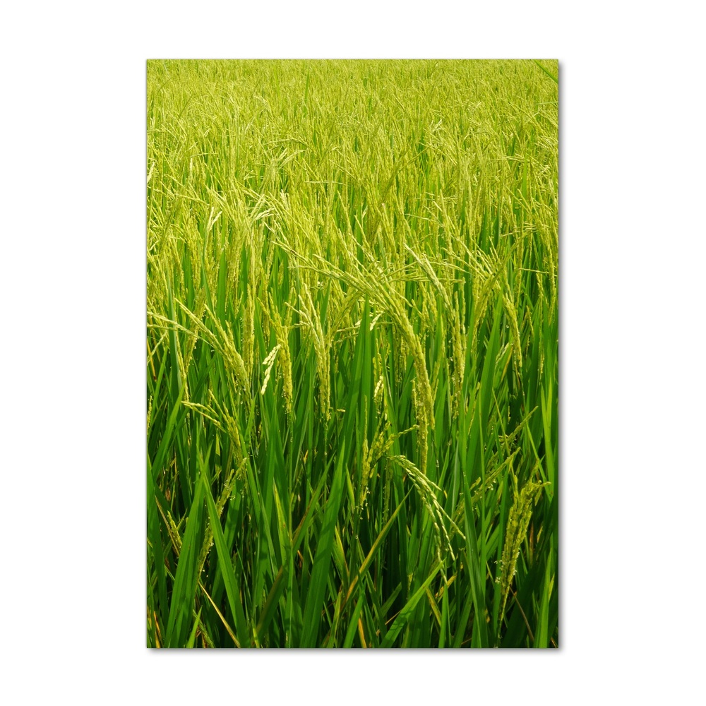 Acrylique tableau Plantation de riz