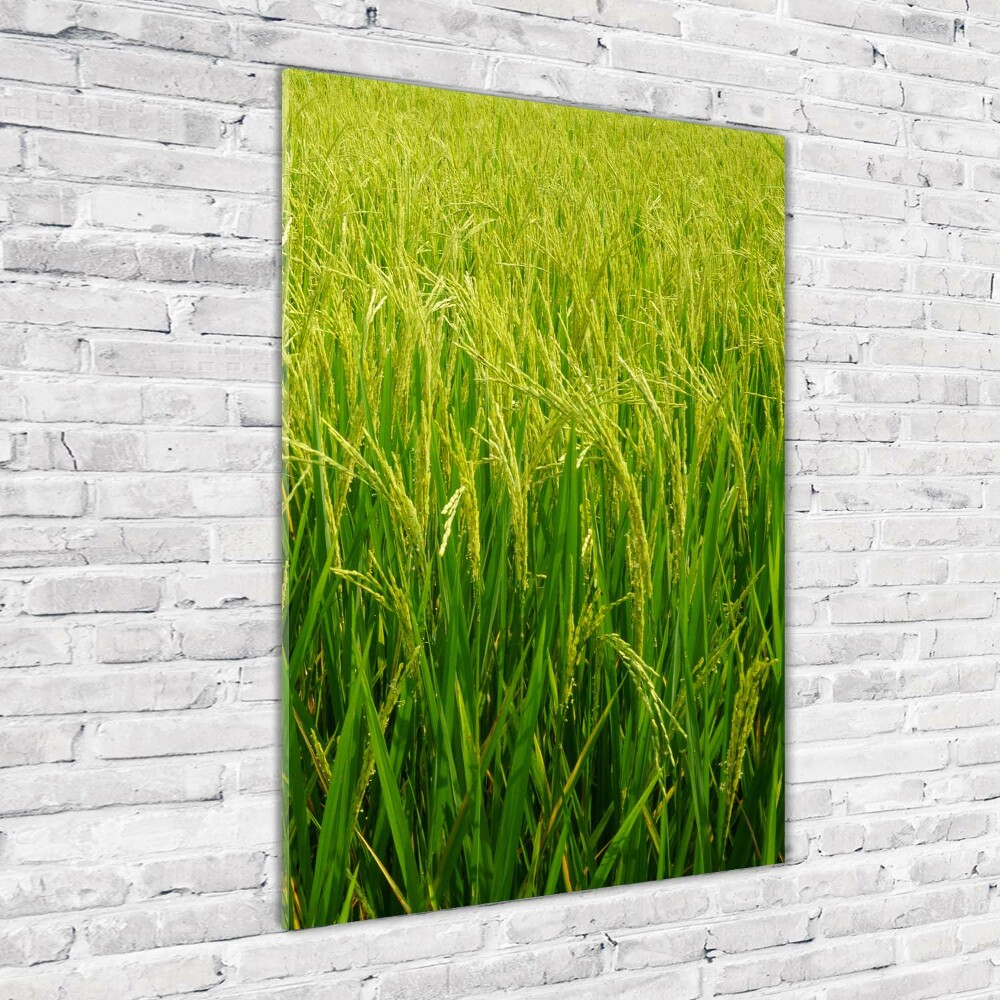 Acrylique tableau Plantation de riz