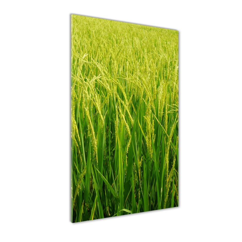 Acrylique tableau Plantation de riz