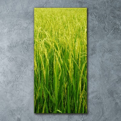 Acrylique tableau Plantation de riz