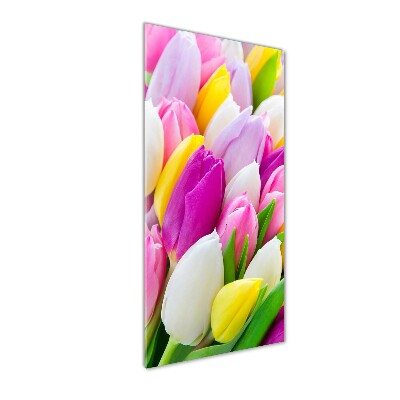 Tableau sur verre acrylique Tulipes colorées