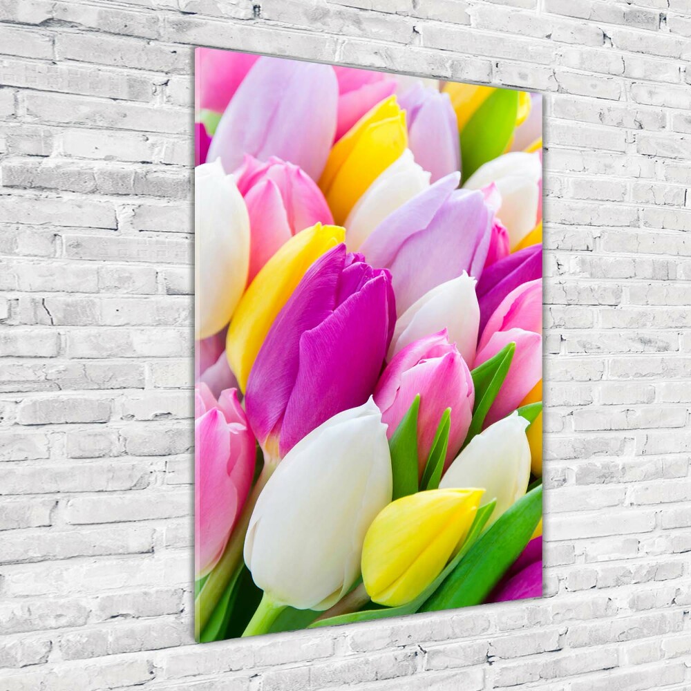 Tableau sur verre acrylique Tulipes colorées