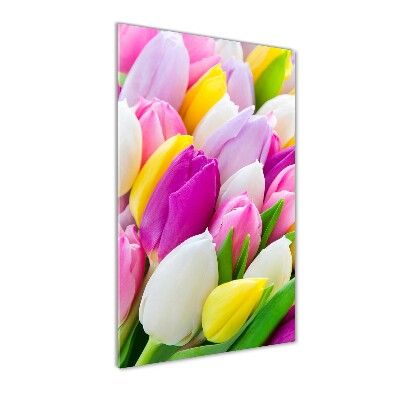 Tableau sur verre acrylique Tulipes colorées