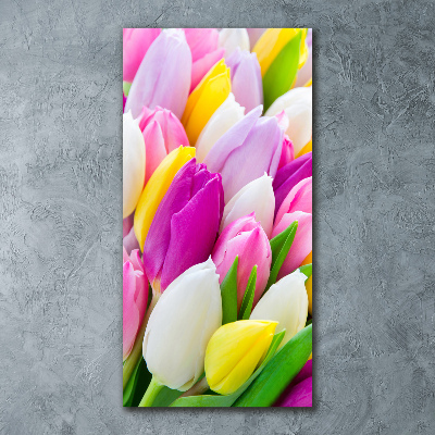 Tableau sur verre acrylique Tulipes colorées