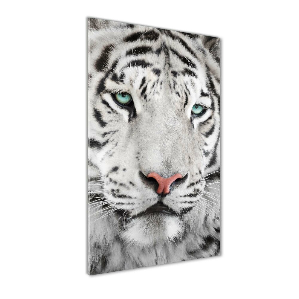 Tableau sur verre acrylique Tigre blanc