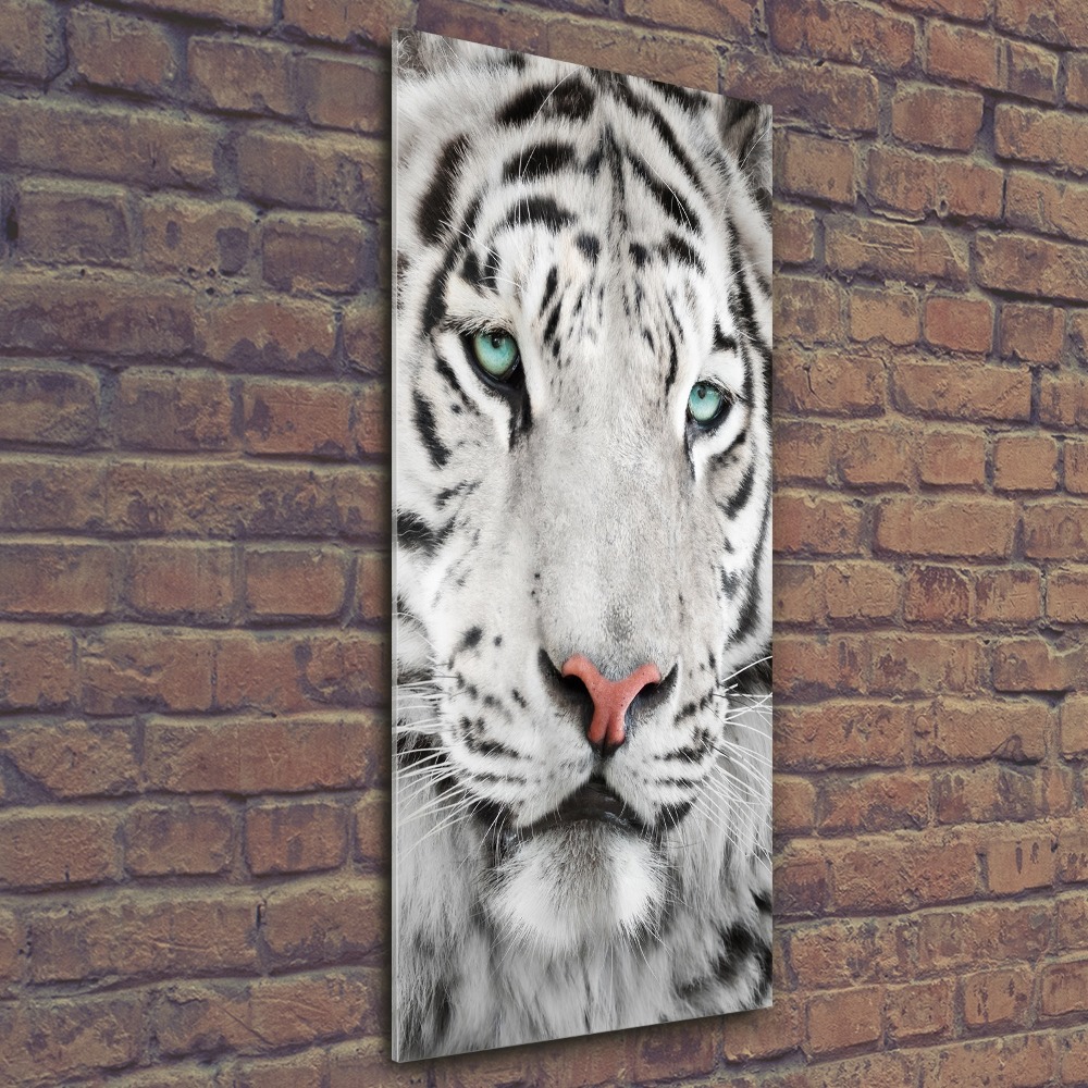 Tableau sur verre acrylique Tigre blanc