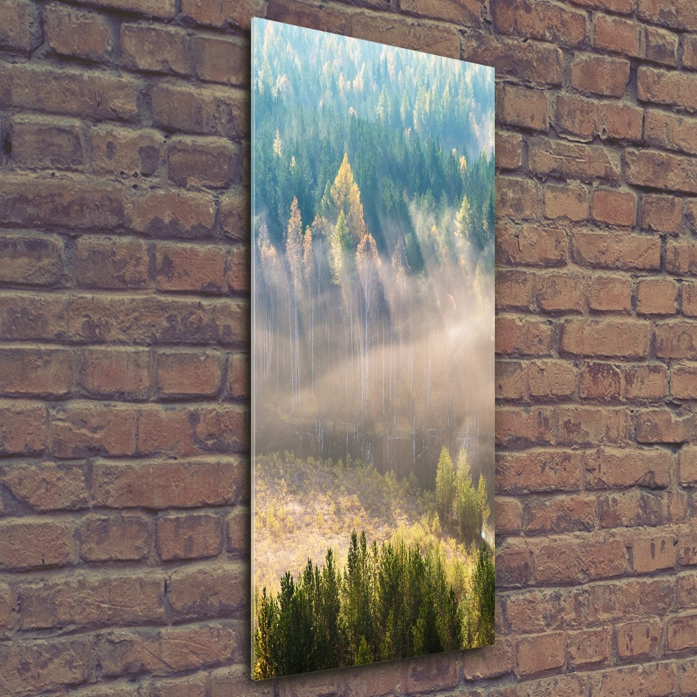 Tableau sur verre acrylique Brume sur la forêt