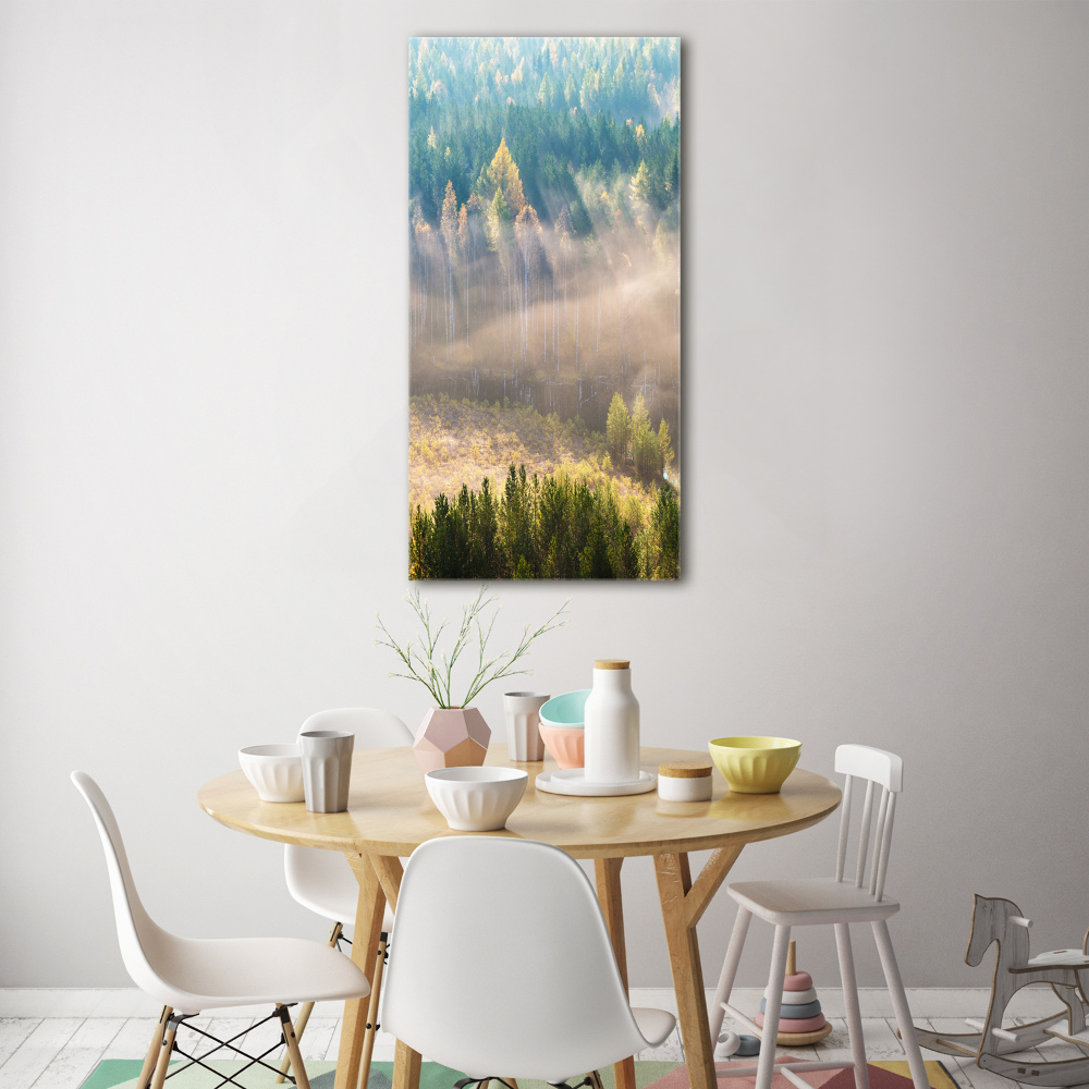 Tableau sur verre acrylique Brume sur la forêt