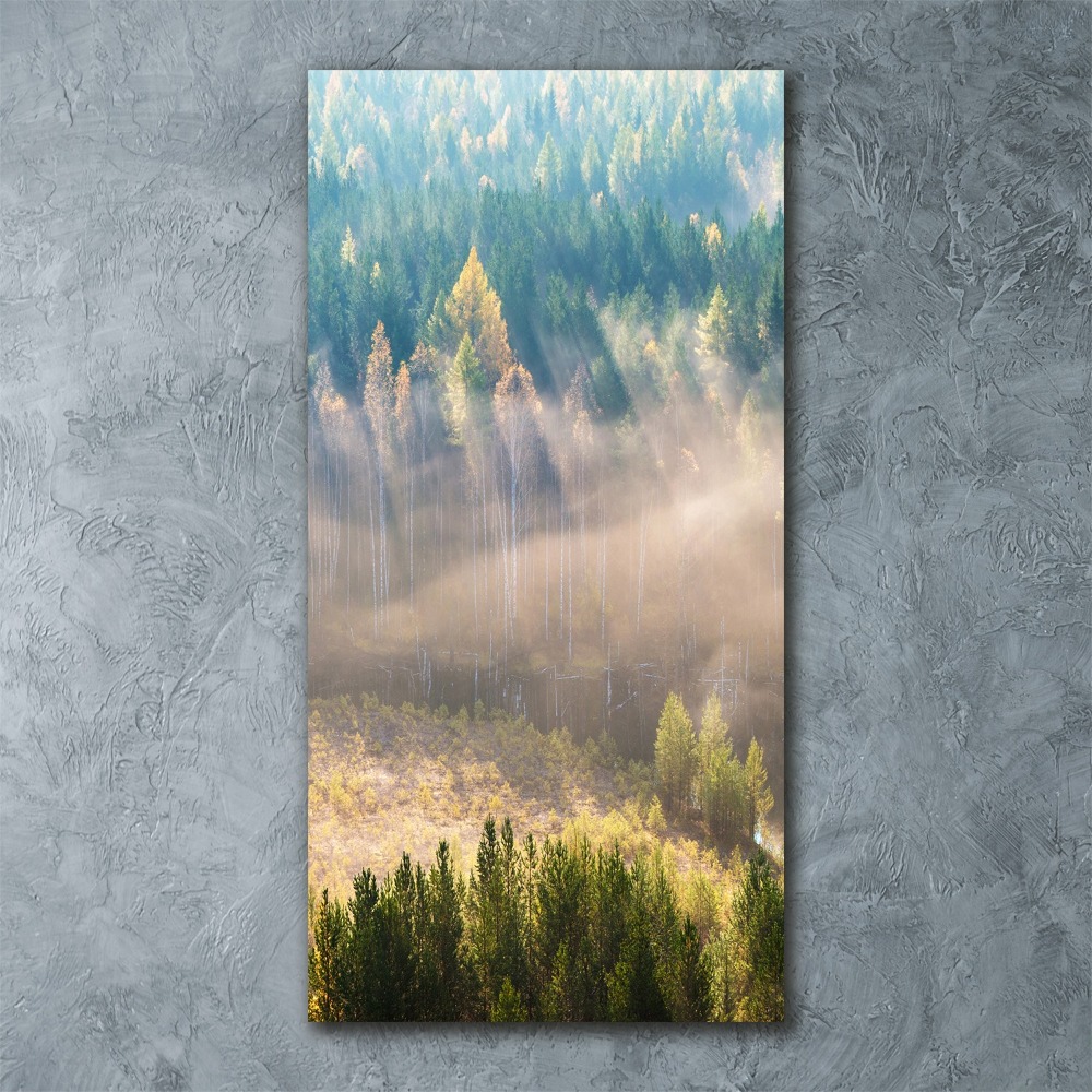 Tableau sur verre acrylique Brume sur la forêt