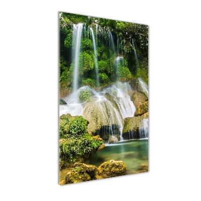 Acrylique tableau Cascade dans la jungle