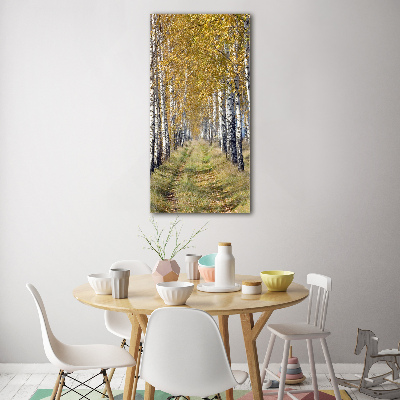 Tableau sur verre acrylique Forêt bouleau