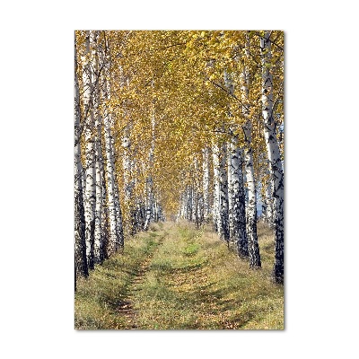 Tableau sur verre acrylique Forêt bouleau