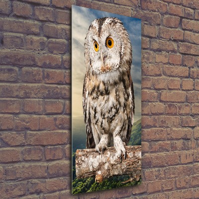 Acrylique tableau Hibou sur une colline