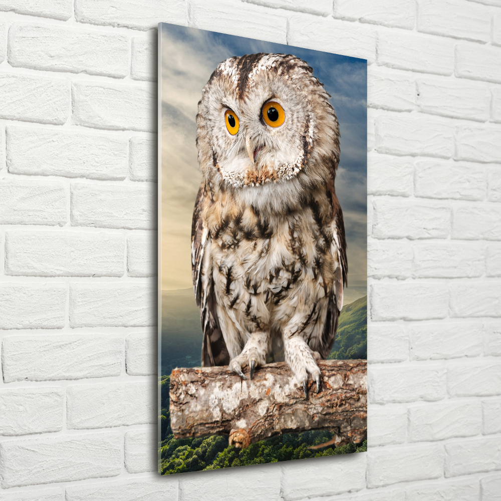 Acrylique tableau Hibou sur une colline