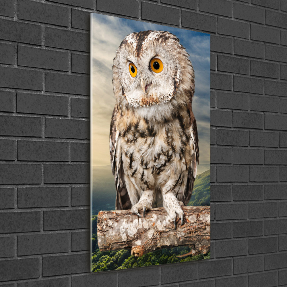 Acrylique tableau Hibou sur une colline