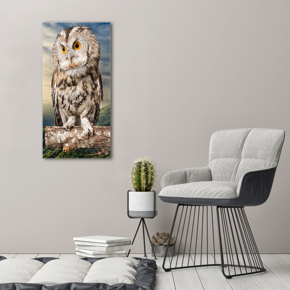 Acrylique tableau Hibou sur une colline