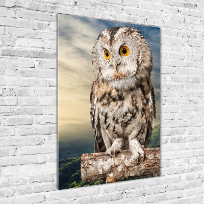 Acrylique tableau Hibou sur une colline