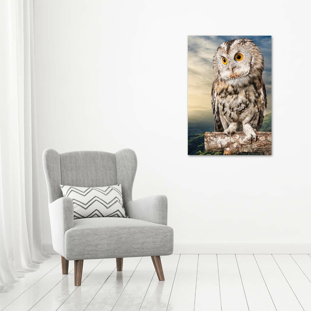 Acrylique tableau Hibou sur une colline