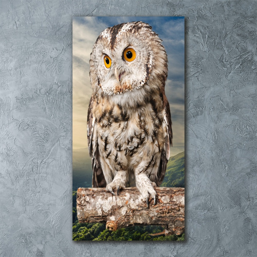 Acrylique tableau Hibou sur une colline