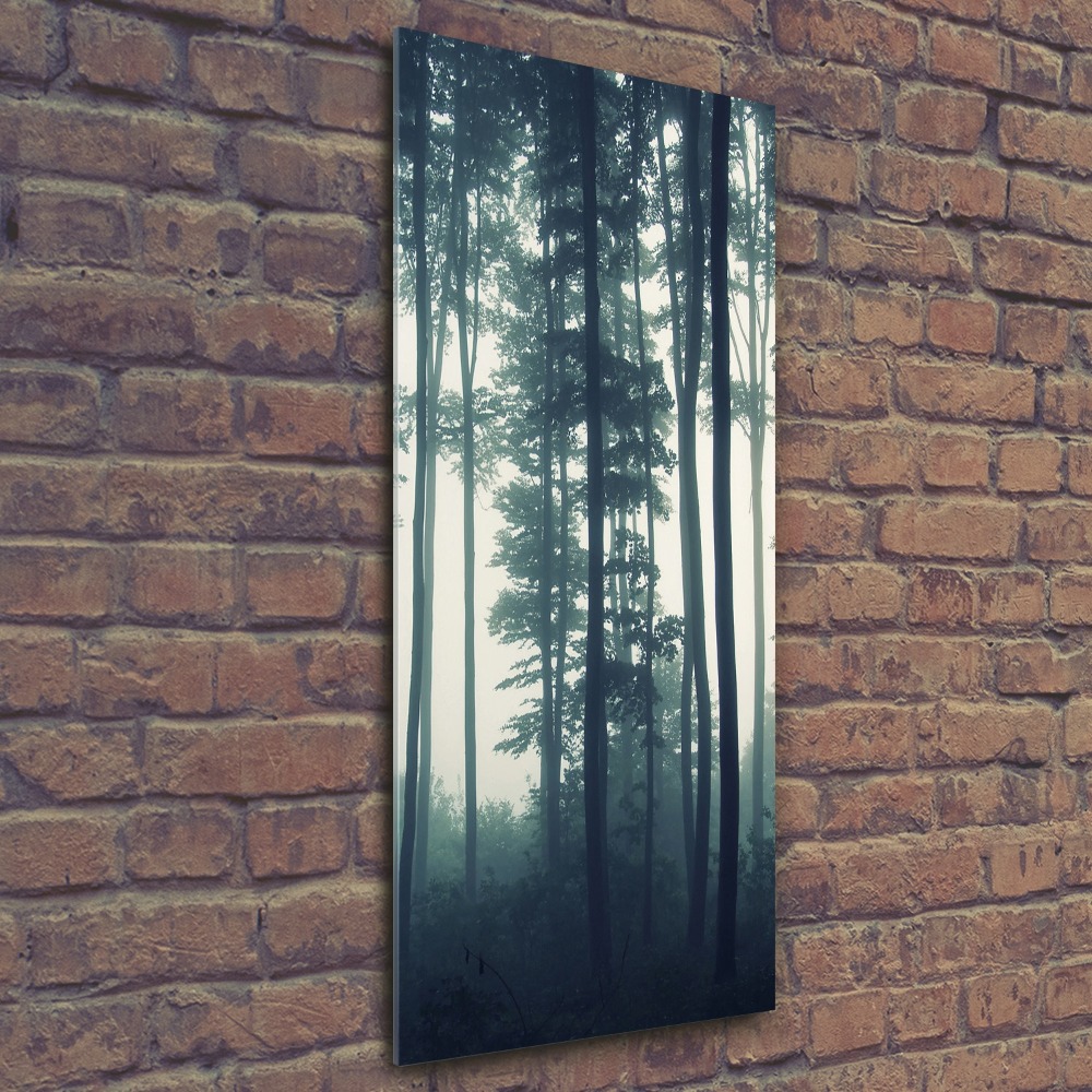 Tableau acrylique Brume dans la forêt