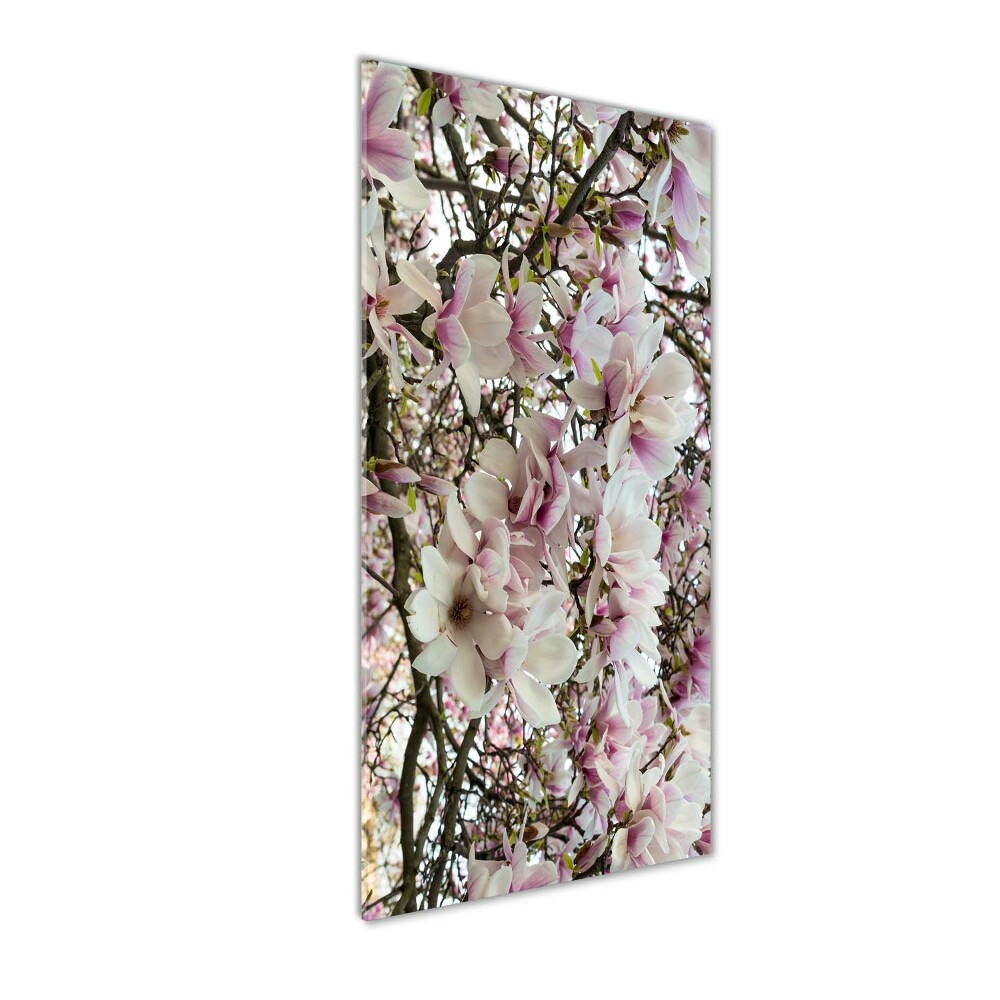 Tableau sur verre acrylique Fleurs de magnolia