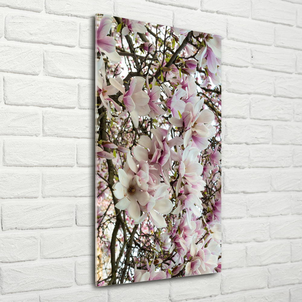 Tableau sur verre acrylique Fleurs de magnolia