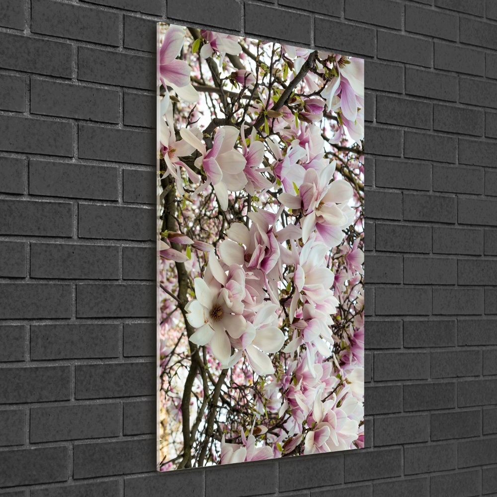 Tableau sur verre acrylique Fleurs de magnolia