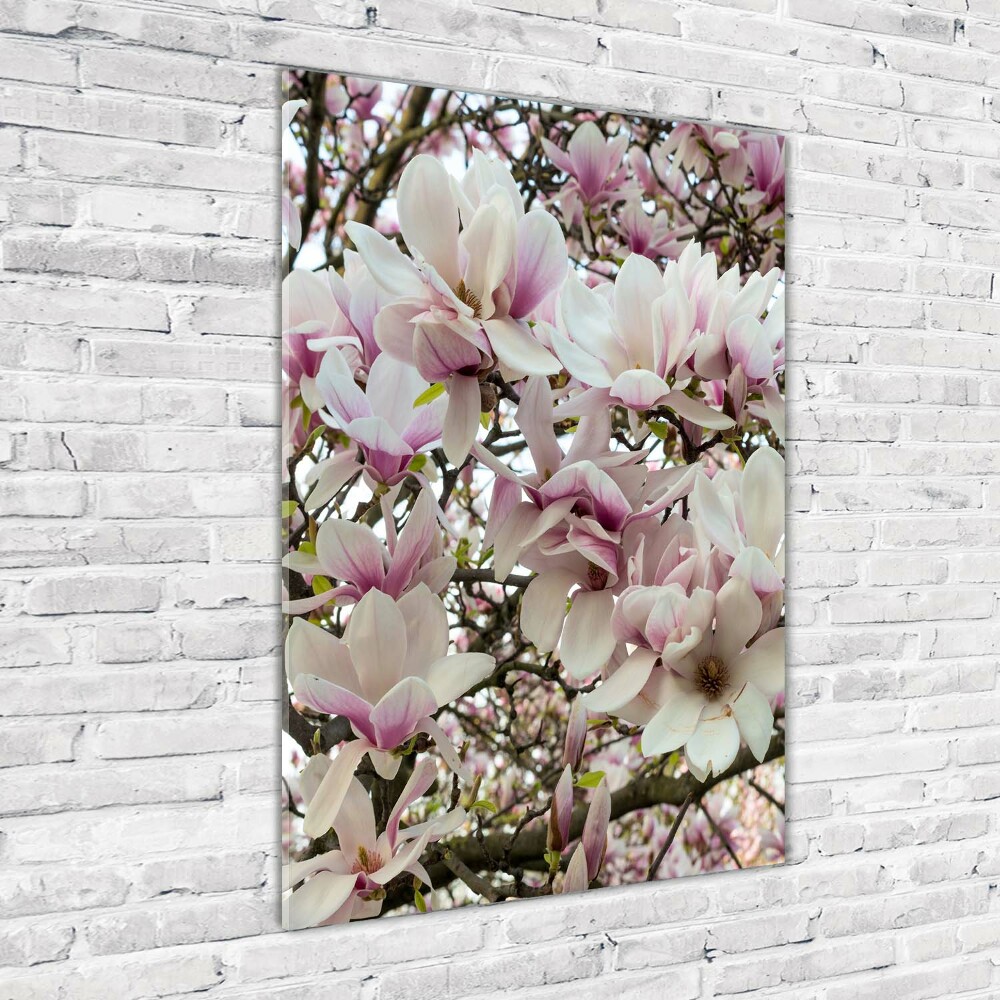 Tableau sur verre acrylique Fleurs de magnolia