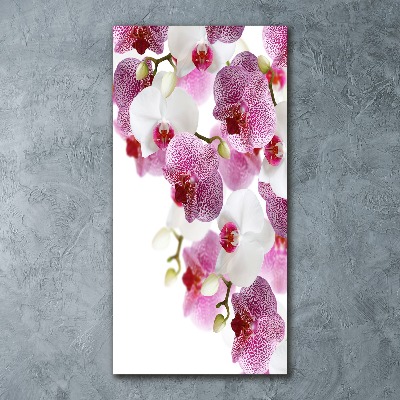 Tableau sur verre acrylique Orchidée