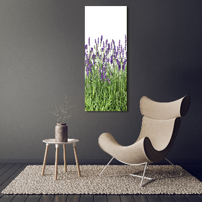 Tableau en acrylique Fleurs violettes de lavande