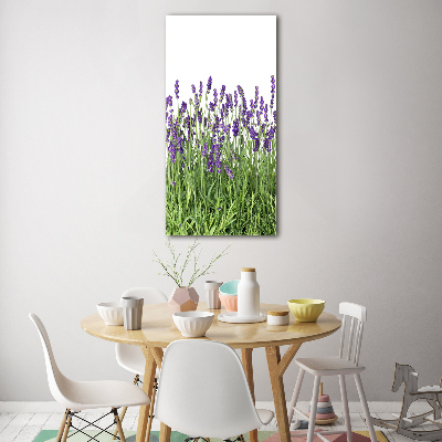 Tableau en acrylique Fleurs violettes de lavande