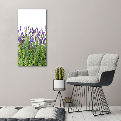 Tableau en acrylique Fleurs violettes de lavande