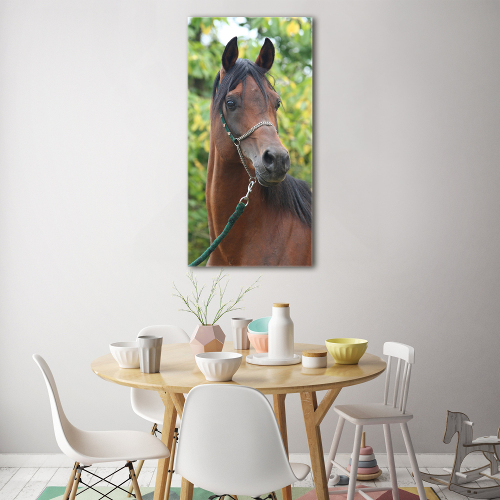 Tableau en acrylique Portrait d'un cheval