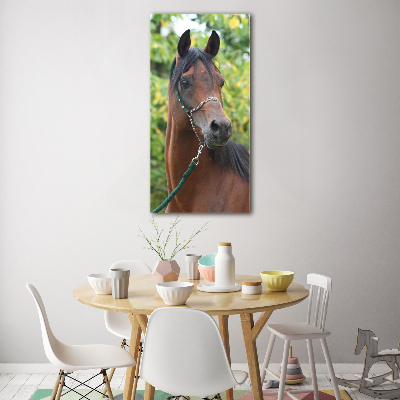 Tableau en acrylique Portrait d'un cheval