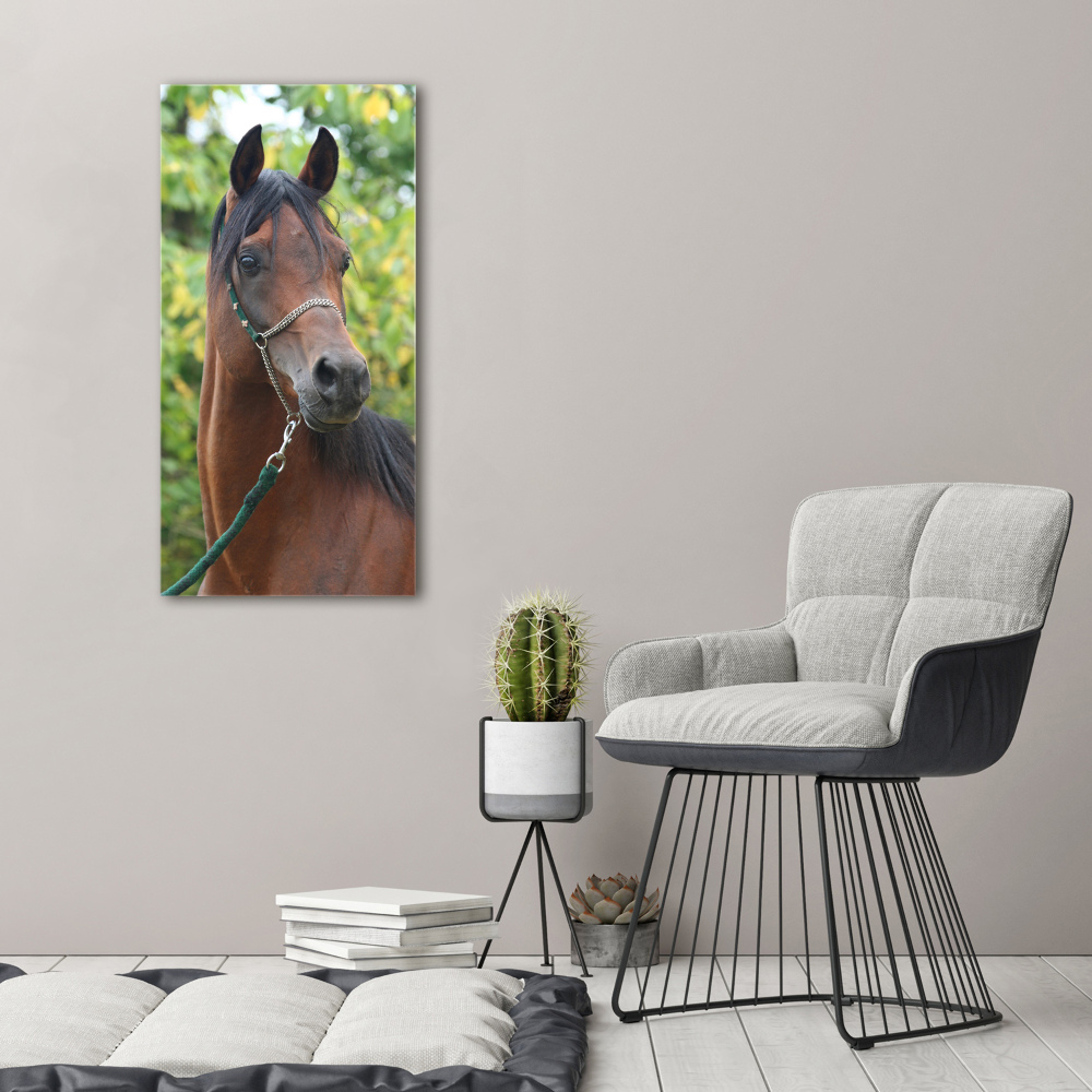 Tableau en acrylique Portrait d'un cheval