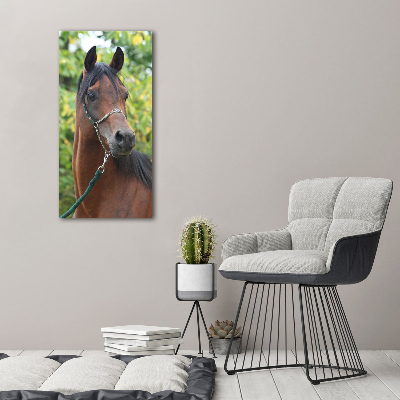 Tableau en acrylique Portrait d'un cheval