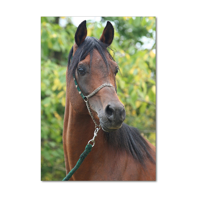 Tableau en acrylique Portrait d'un cheval