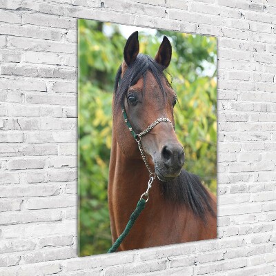 Tableau en acrylique Portrait d'un cheval