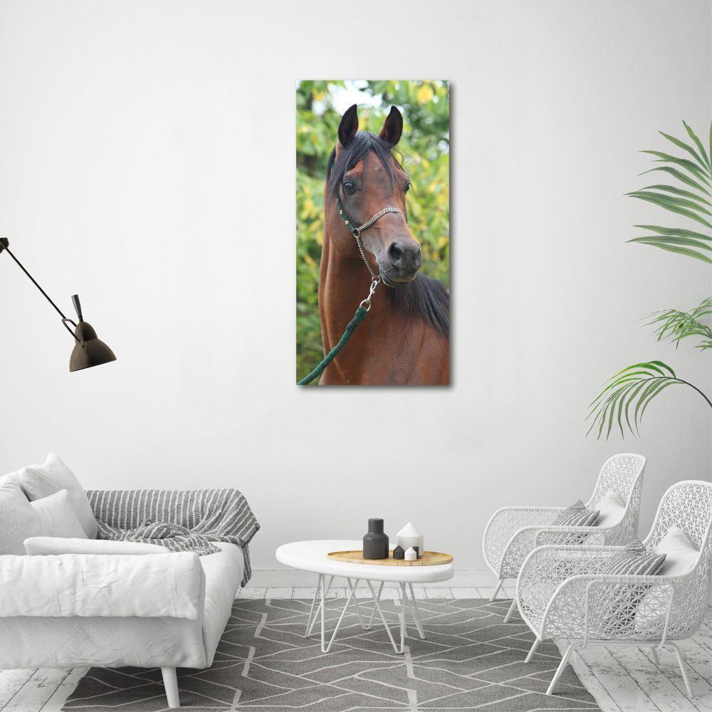 Tableau en acrylique Portrait d'un cheval