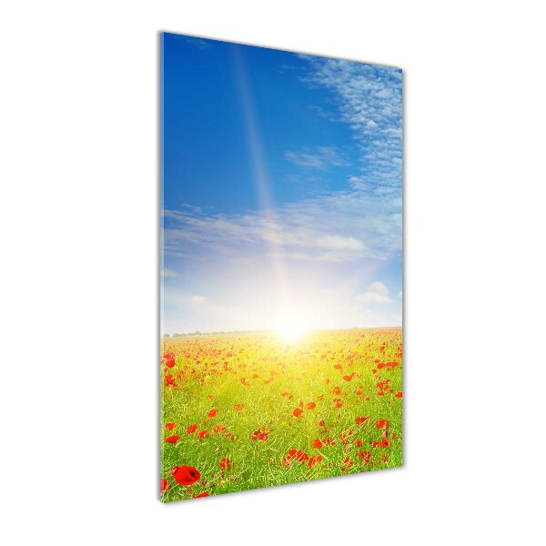 Champ de coquelicots