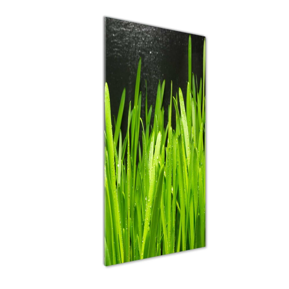 Tableau verre acrylique Tiges d'herbe