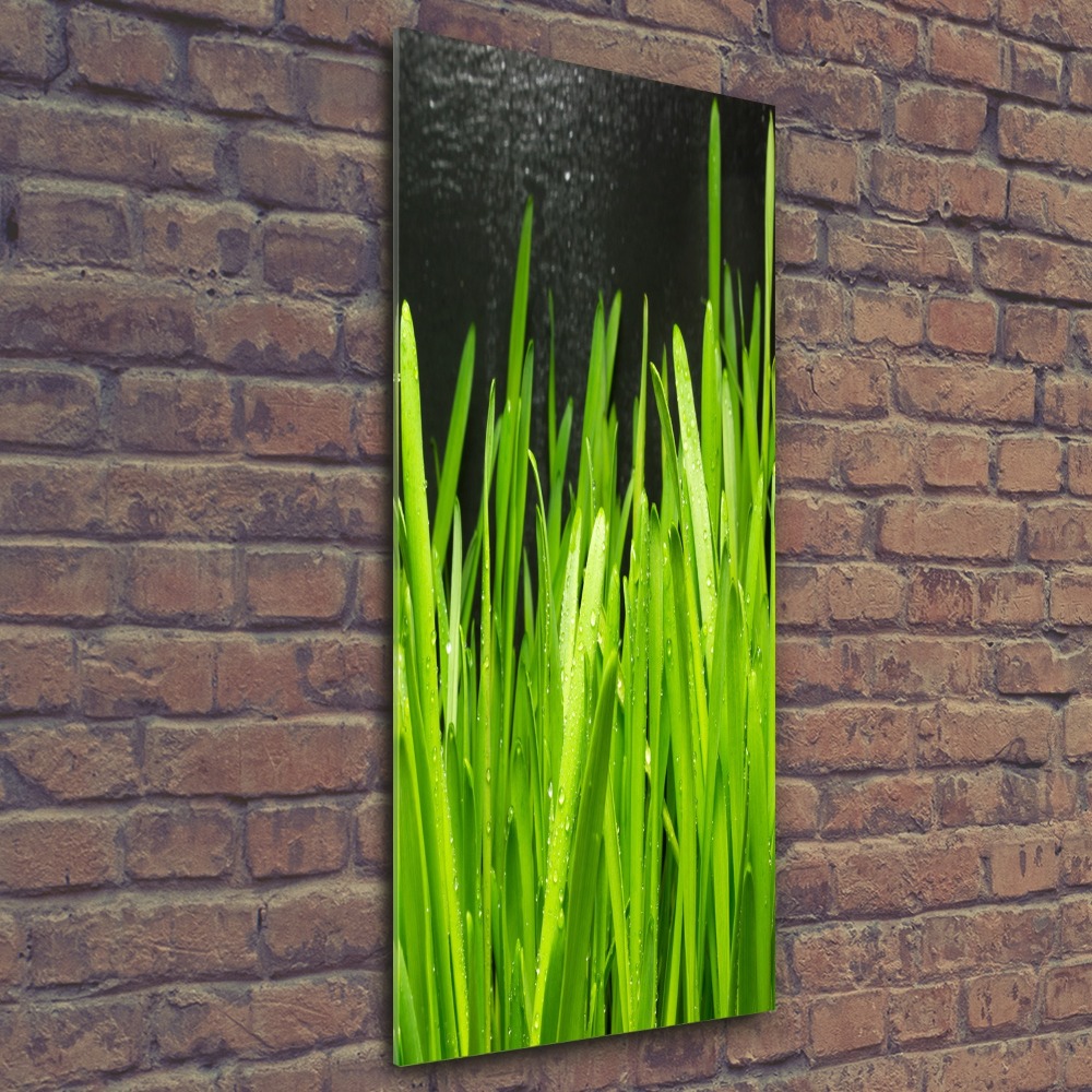 Tableau verre acrylique Tiges d'herbe