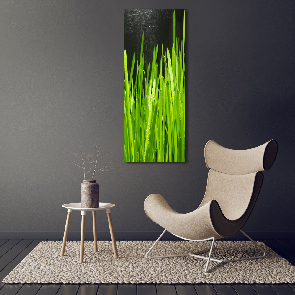 Tableau verre acrylique Tiges d'herbe