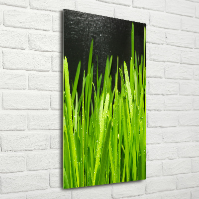 Tableau verre acrylique Tiges d'herbe