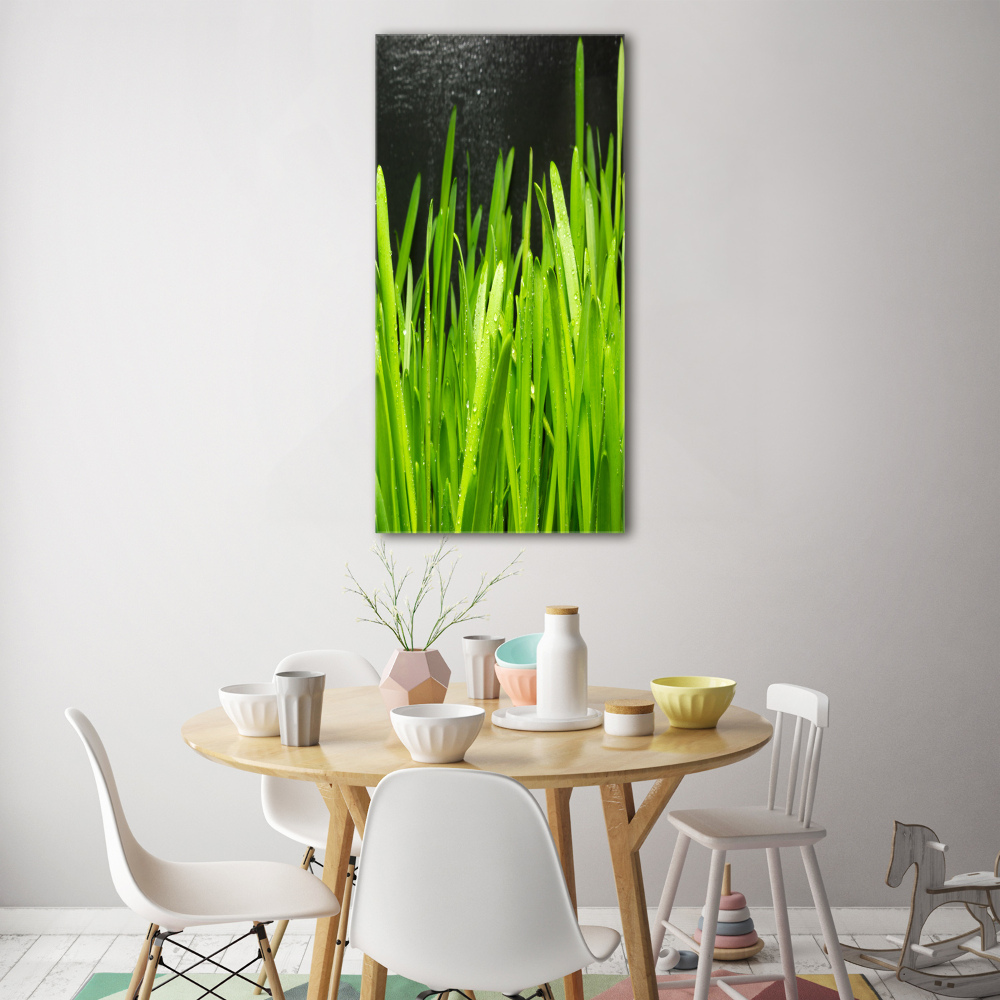 Tableau verre acrylique Tiges d'herbe