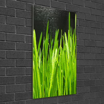 Tableau verre acrylique Tiges d'herbe