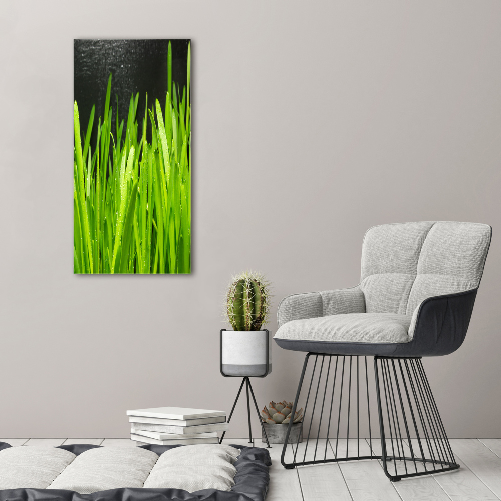 Tableau verre acrylique Tiges d'herbe